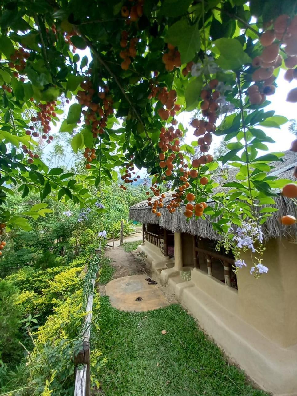 Nature Tones By Brdge Hospitality Maraiyūr Екстериор снимка
